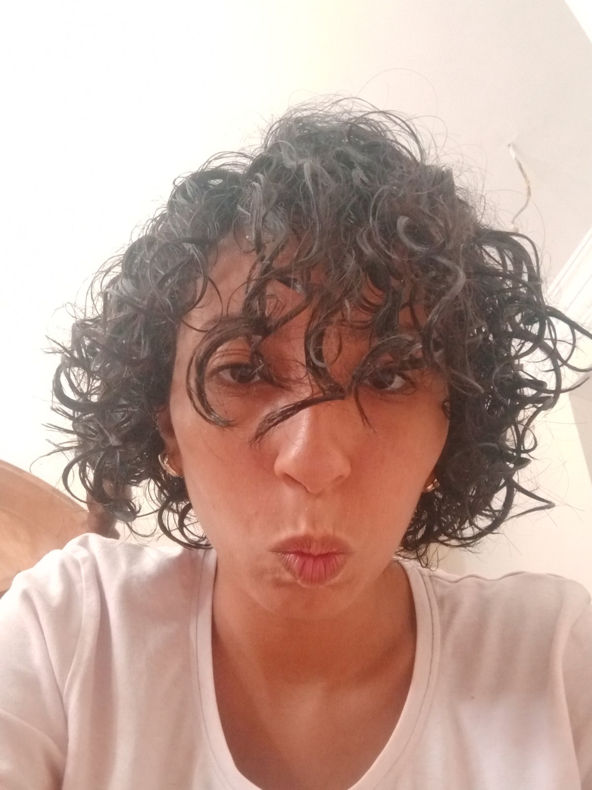 الصورة الرئيسية