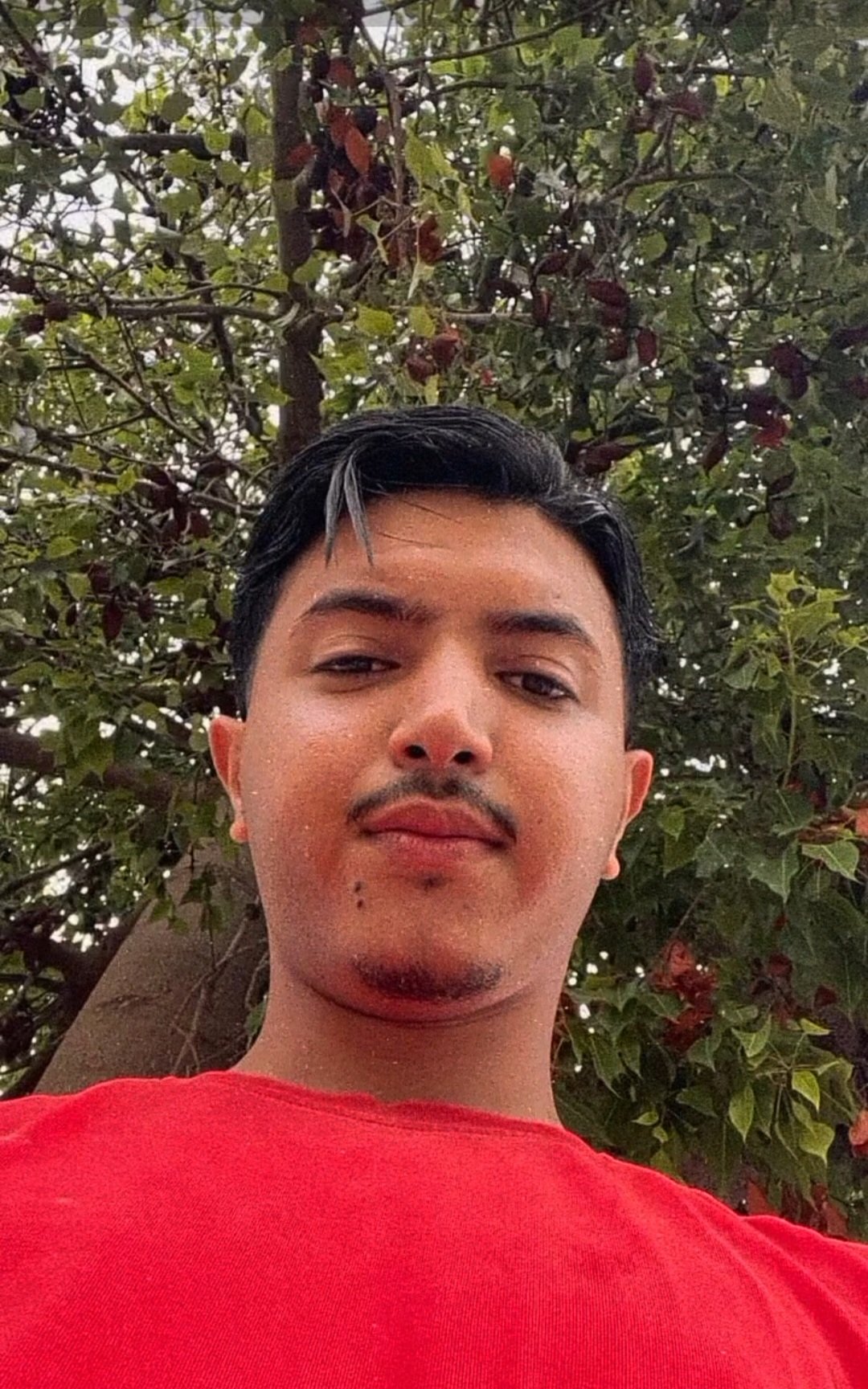 بورتريه